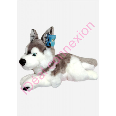 chienhusky1_gf
