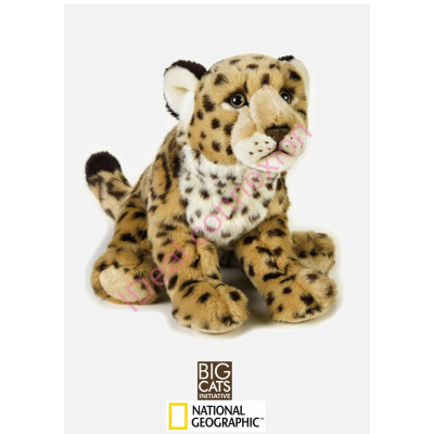 jaguarpm_gf