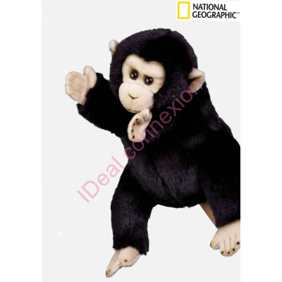 marionette-singe_gf