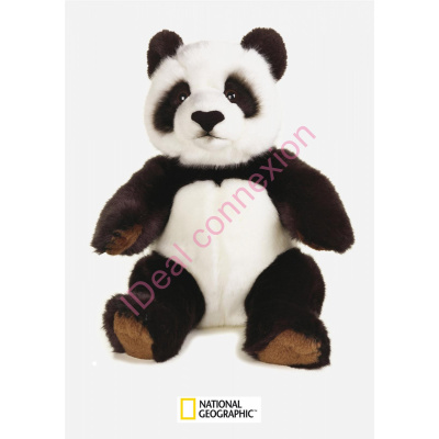 panda_gf